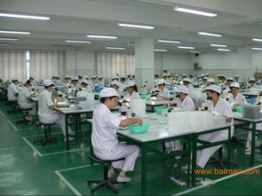 验货公司验厂服务 为制造业保驾护航的全面解析