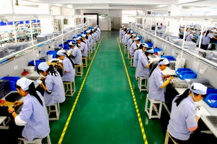 权威Lowe's验厂咨询机构 选丰信验厂咨询更专业