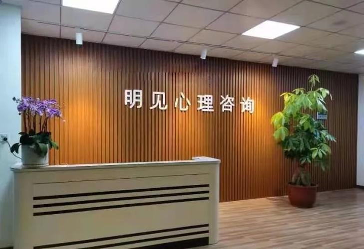 潮州市明见心理科技信息咨询服务 以专业之光，照亮心灵深处
